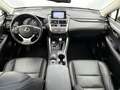 Lexus NX 300h AWD President Line Grau - thumbnail 28