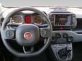 Fiat Panda Cross 1.0 FireFly Hybrid Argento - thumbnail 8