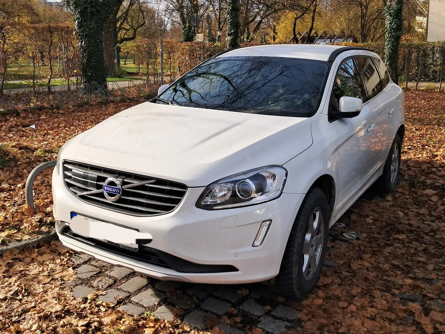 Volvo XC60 XC60 D4 Momentum Weiß - 1