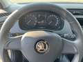 Skoda Fabia Combi 25 1,0 Pickerl bis 07/2026 Finanzierung u... Grau - thumbnail 15