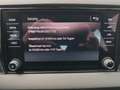 Skoda Karoq 1.0 TSI Ambition  Navi /aAHK/Temp Gris - thumbnail 20