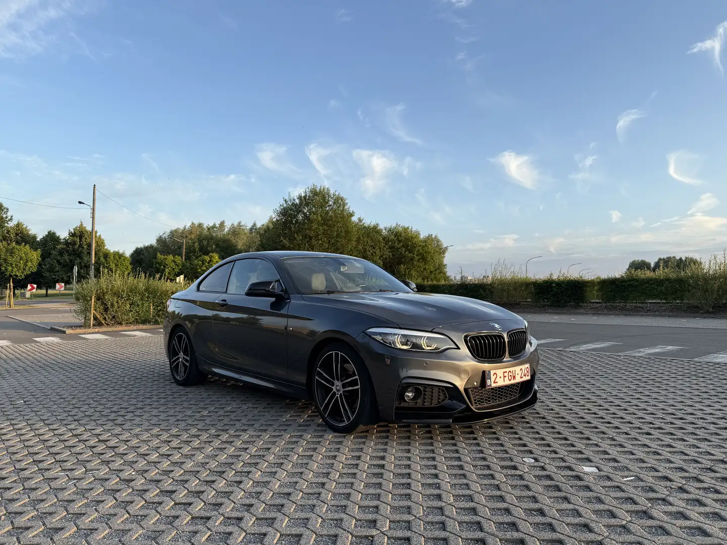 BMW 220 Coupé 220iAS - 2