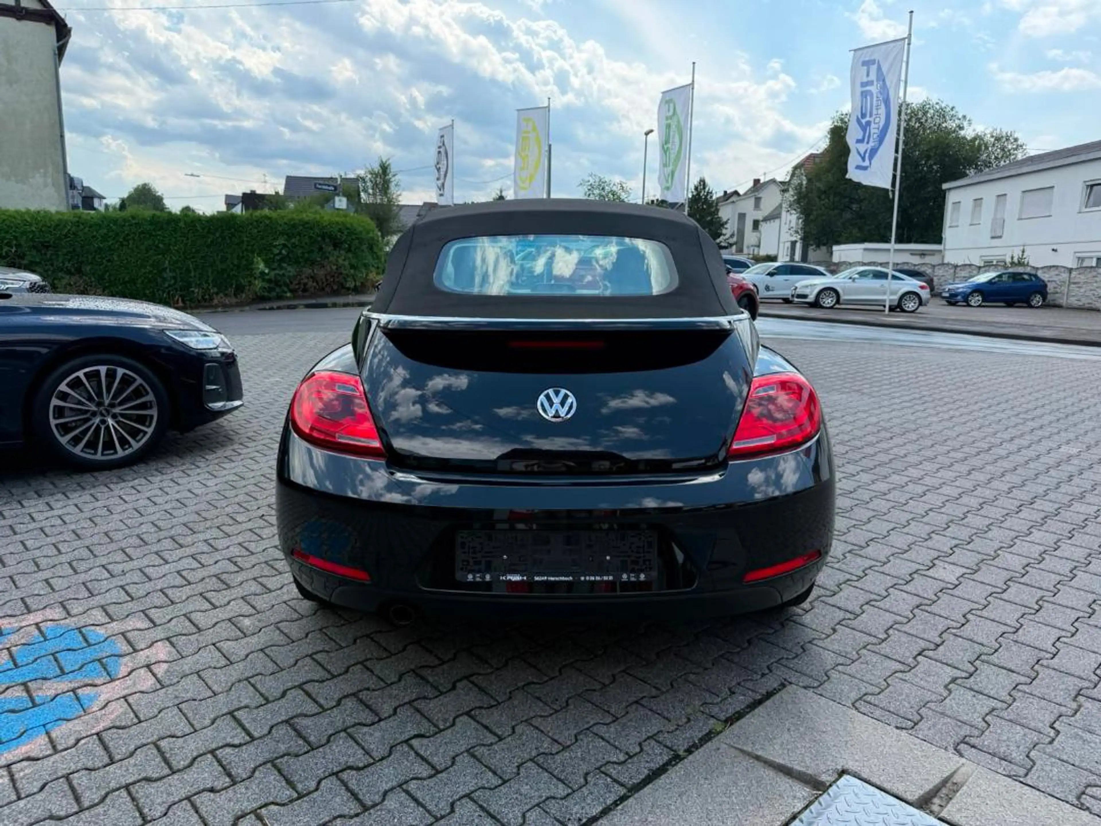 Volkswagen Beetle New Cabriolet CLUB — photo 6