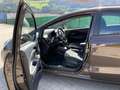 Kia Rio Attraction 1,2 Braun - thumbnail 13