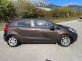 Kia Rio Attraction 1,2 Braun - thumbnail 3