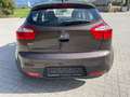 Kia Rio Attraction 1,2 Braun - thumbnail 6