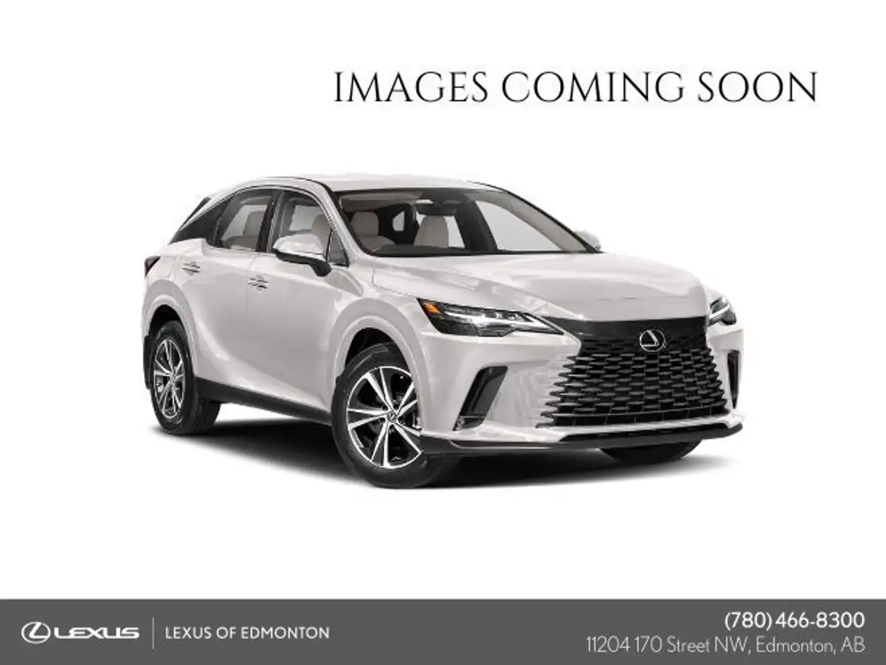 2025 Lexus RX