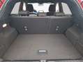 Ford Puma 1.0 EB Hybrid Aut. ST-LINE Winterpak. + Allwe Rouge - thumbnail 5