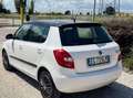 Skoda Fabia 1.2 benzina 86cv ok neopatentati - thumbnail 6