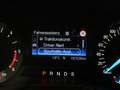 Ford Mondeo ST-Line,PANO,TEMPO,WINTER,MEMO,KAM,SPURH Argent - thumbnail 15