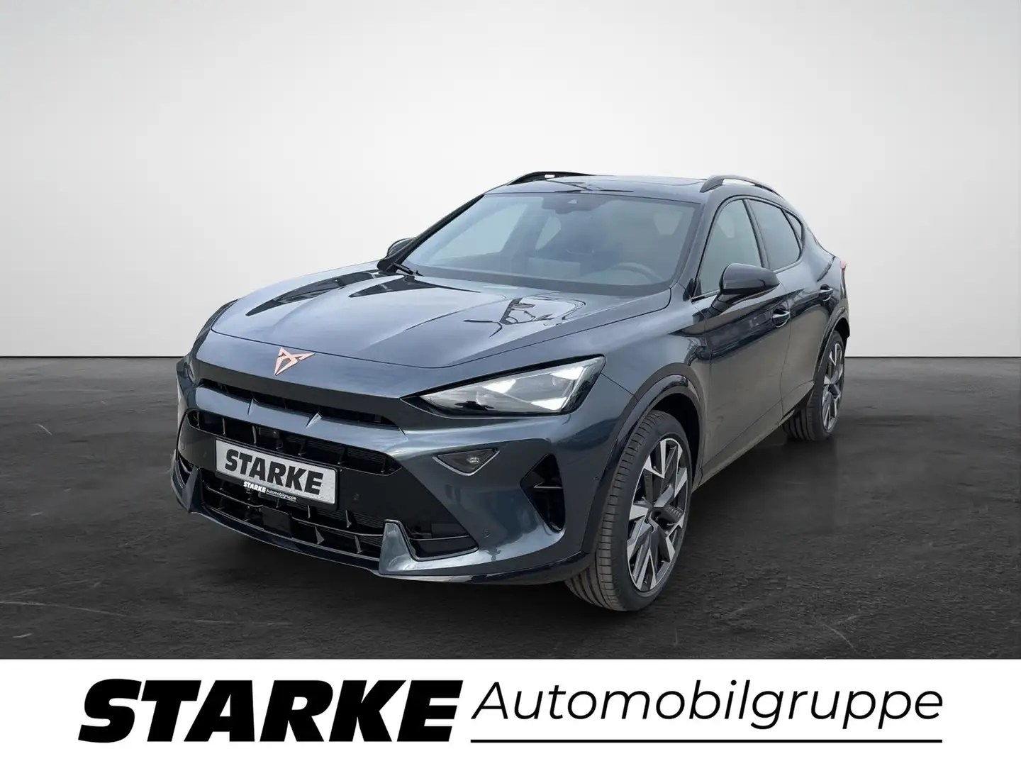 CUPRA Formentor 2.0 TDI DSG Grau - 2