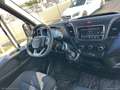 Iveco Daily 33S14S 2.3FURGONE MAXI VOLUME HI-MATIC - thumbnail 27