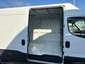 Iveco Daily 33S14S 2.3FURGONE MAXI VOLUME HI-MATIC - thumbnail 25