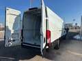 Iveco Daily 33S14S 2.3FURGONE MAXI VOLUME HI-MATIC - thumbnail 15