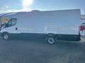 Iveco Daily 33S14S 2.3FURGONE MAXI VOLUME HI-MATIC - thumbnail 7