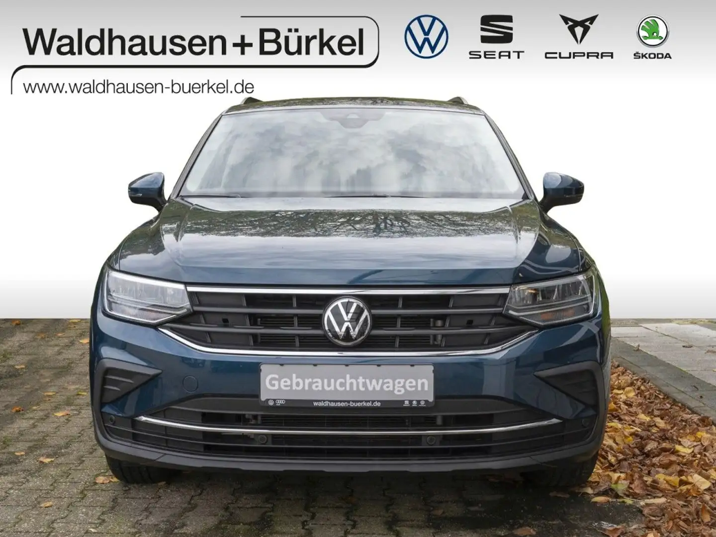 Volkswagen Tiguan Life 1.5 TSI DSG +AHK+Kamera Klima Blu/Azzurro - 1
