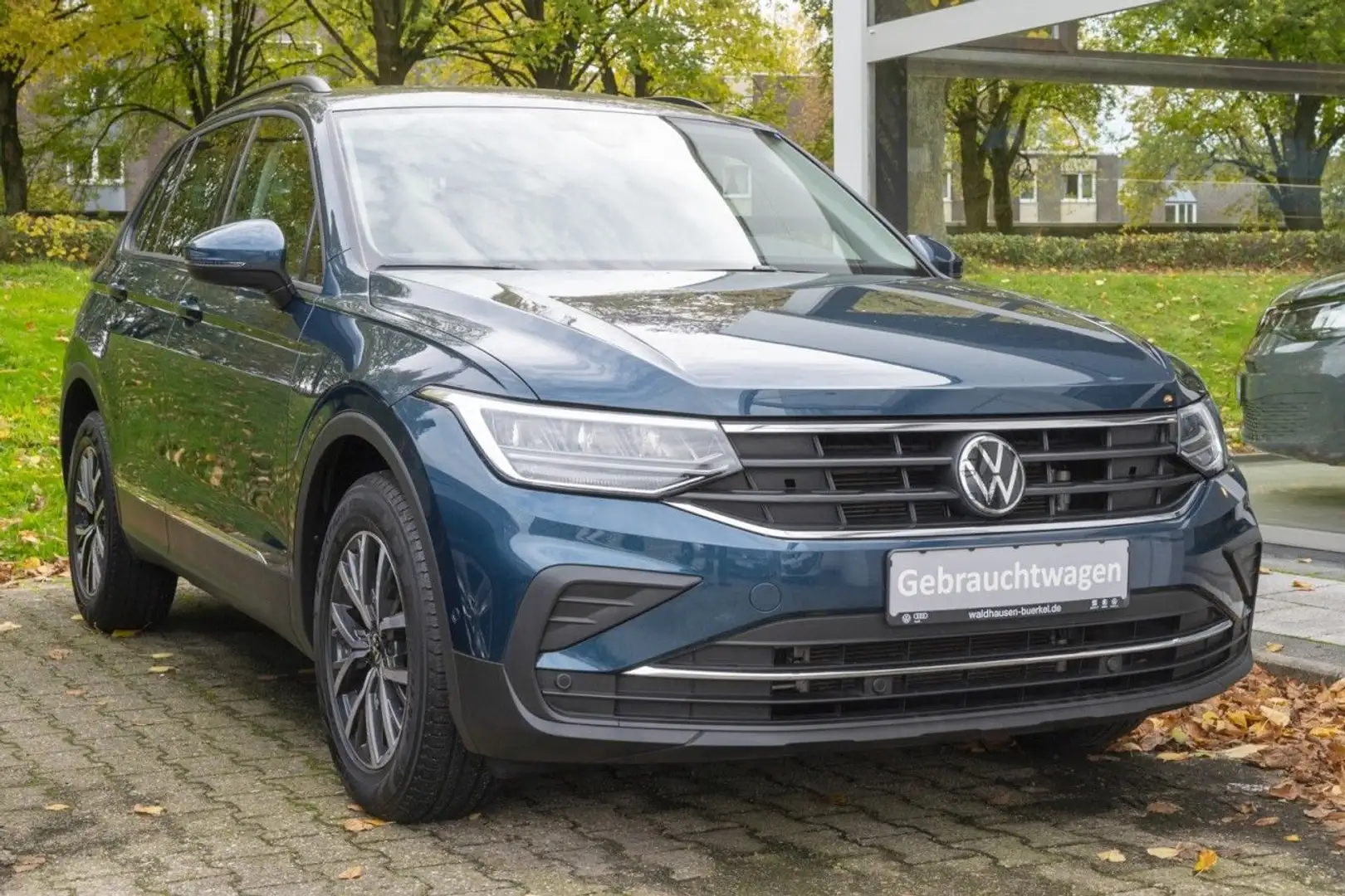 Volkswagen Tiguan Life 1.5 TSI DSG +AHK+Kamera Klima Blu/Azzurro - 2