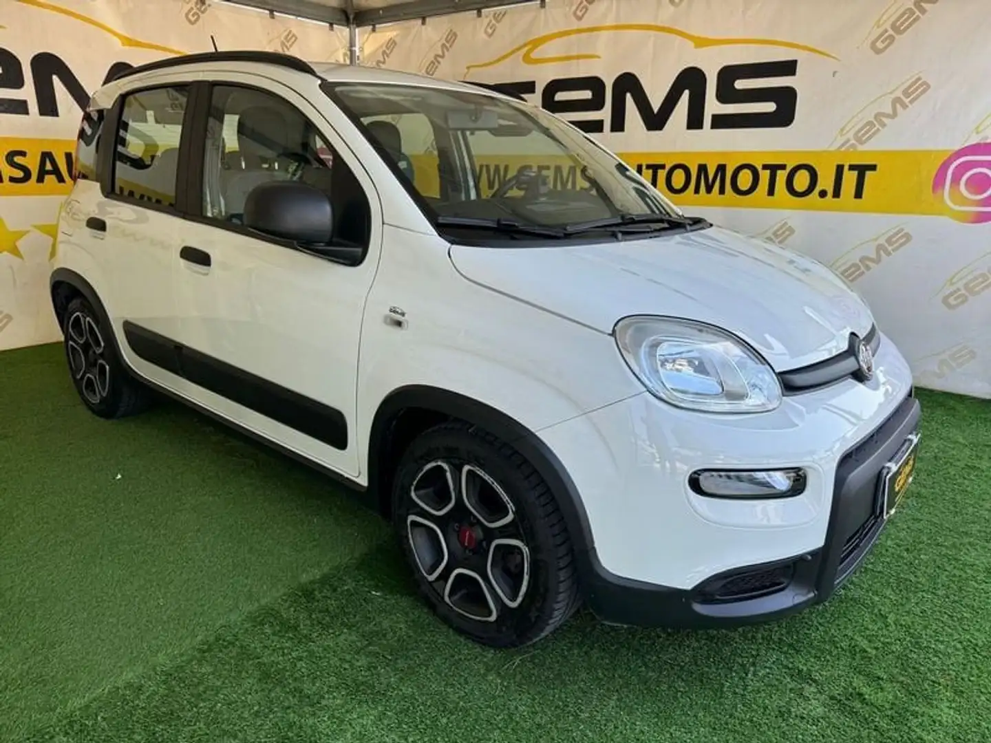 Fiat Panda 1.0 FireFly S&S Hybrid City Life Blanc - 2