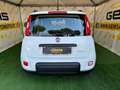 Fiat Panda 1.0 FireFly S&S Hybrid City Life Blanc - thumbnail 5