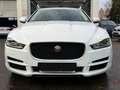 Jaguar XE *1.Hand*Xenon*Autom.*Key*8-Fach*Navi Weiß - thumbnail 3