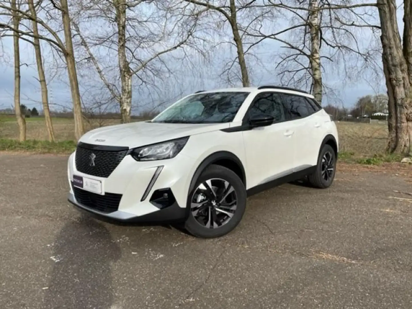 Peugeot 2008 Allure Pack Blanc - 1