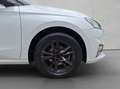Skoda Fabia 1.0 TSI DSG Style AHK PDC GRA RFK CLIMATRO Bianco - thumbnail 19