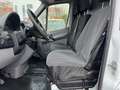 Mercedes-Benz Sprinter II Kasten 313 CDI Weiß - thumbnail 13
