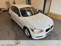 BMW 116 116i Voll Fahrbereit Klima/Park-Assist./Sitzhzg./MF-Lenkrad/BC Weiß - thumbnail 8