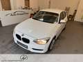 BMW 116 116i Voll Fahrbereit Klima/Park-Assist./Sitzhzg./MF-Lenkrad/BC Weiß - thumbnail 2