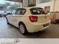 BMW 116 116i Voll Fahrbereit Klima/Park-Assist./Sitzhzg./MF-Lenkrad/BC Weiß - thumbnail 3