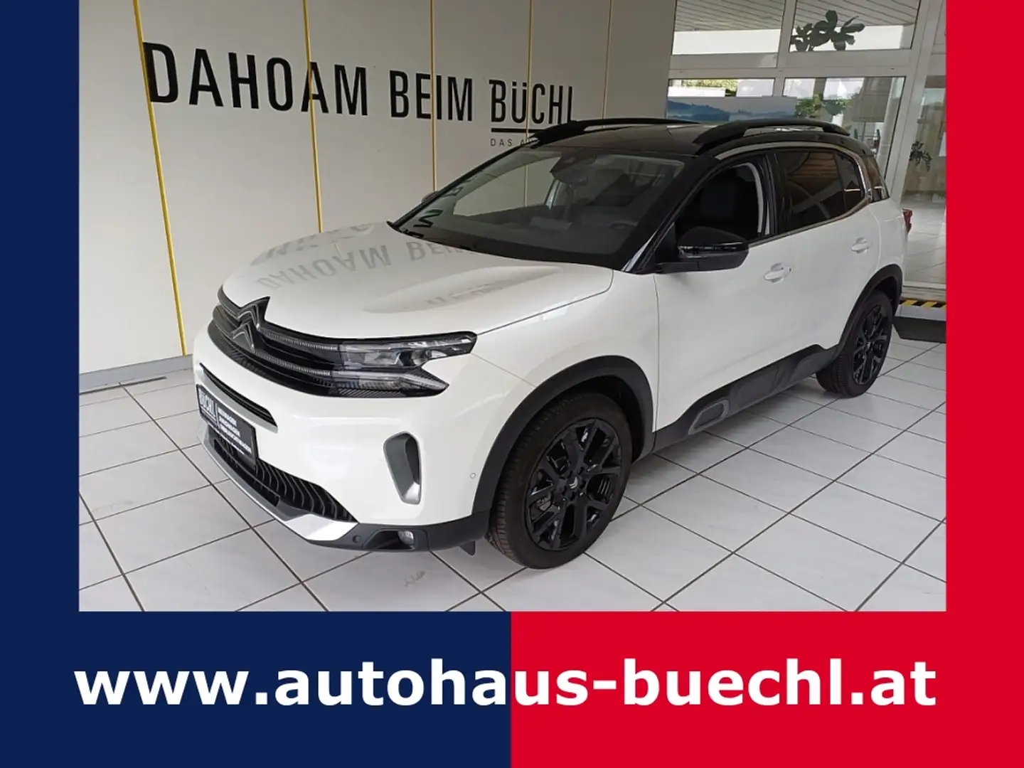 Citroen C5 Aircross mHEV 136 e-DSC6 Max Blanco - 1