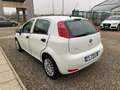 Fiat Punto 1.3 MJT II S&S 95 CV 5 porte Street Weiß - thumbnail 7