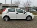 Fiat Punto 1.3 MJT II S&S 95 CV 5 porte Street Weiß - thumbnail 4