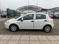 Fiat Punto 1.3 MJT II S&S 95 CV 5 porte Street Weiß - thumbnail 8