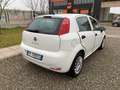 Fiat Punto 1.3 MJT II S&S 95 CV 5 porte Street Weiß - thumbnail 5