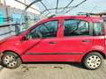 Fiat Panda 1.2 Natural Power - thumbnail 5
