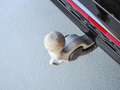 Volkswagen Passat Variant 2.0 TDI DSG R-Line STANDHEIZ., AHK, Schwarz - thumbnail 15