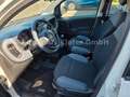 Fiat Panda Easy Wit - thumbnail 7