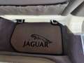 Jaguar XJ8 XJ8 4,0 Executive Grün - thumbnail 9