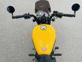 Royal Enfield Meteor 350 Jaune - thumbnail 7
