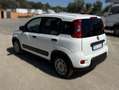 Fiat Panda Panda 1.0 firefly hybrid s Bianco - thumbnail 6