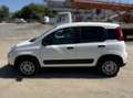 Fiat Panda Panda 1.0 firefly hybrid s Bianco - thumbnail 7