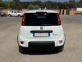 Fiat Panda Panda 1.0 firefly hybrid s Bianco - thumbnail 5