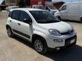 Fiat Panda Panda 1.0 firefly hybrid s Bianco - thumbnail 3