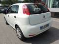 Fiat Punto 5p 1.2 Street E6 Bianco - thumbnail 6
