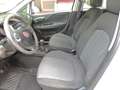 Fiat Punto 5p 1.2 Street E6 Bianco - thumbnail 9
