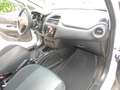Fiat Punto 5p 1.2 Street E6 Bianco - thumbnail 12
