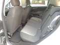 Fiat Punto 5p 1.2 Street E6 Bianco - thumbnail 11
