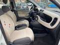 Fiat Panda 0.9 t.air t. natural power Lounge 80cv E5+ - thumbnail 9