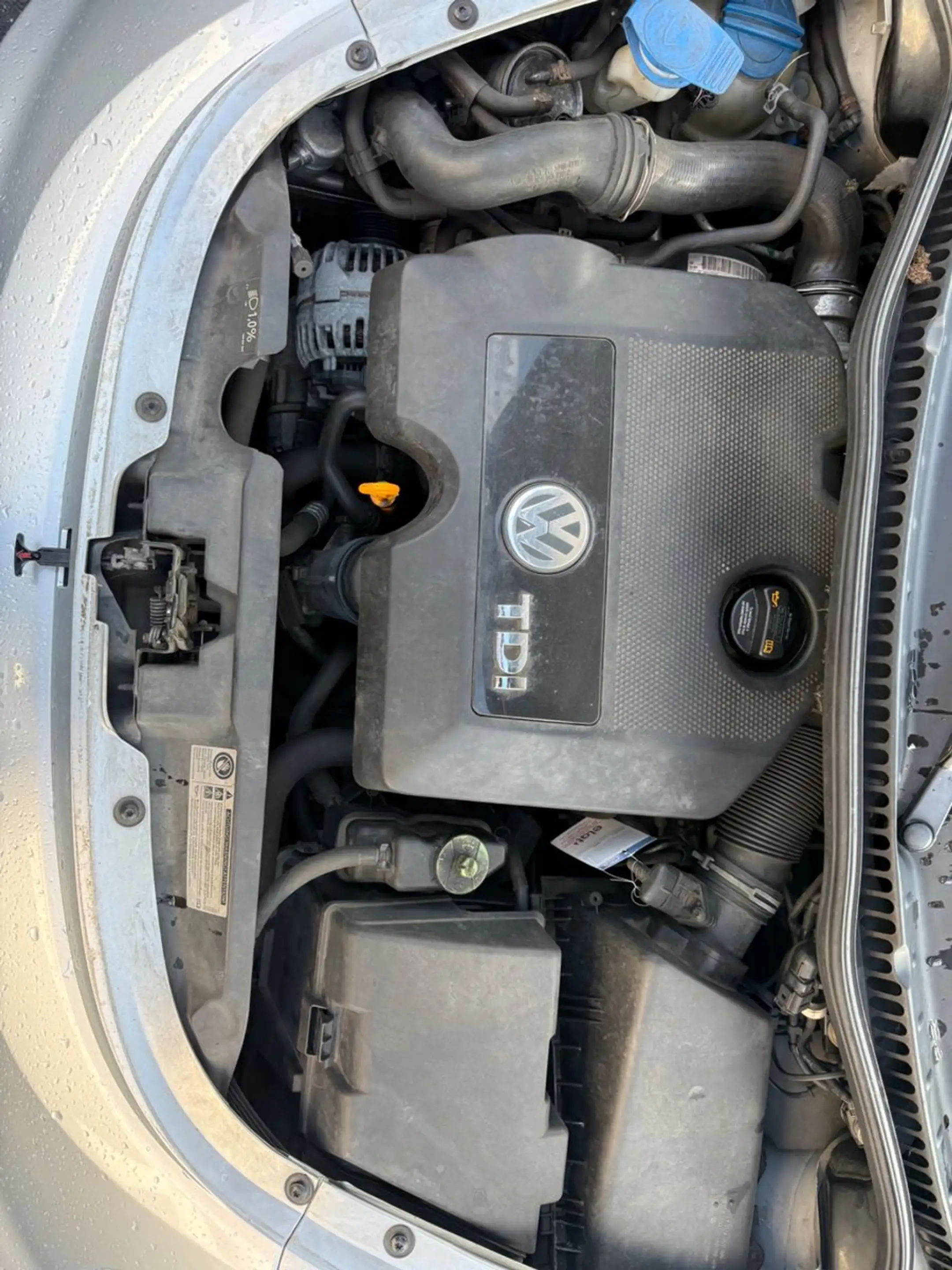Volkswagen New Beetle 1.9 Klima,SHZ.PDC,Tüv — photo 18